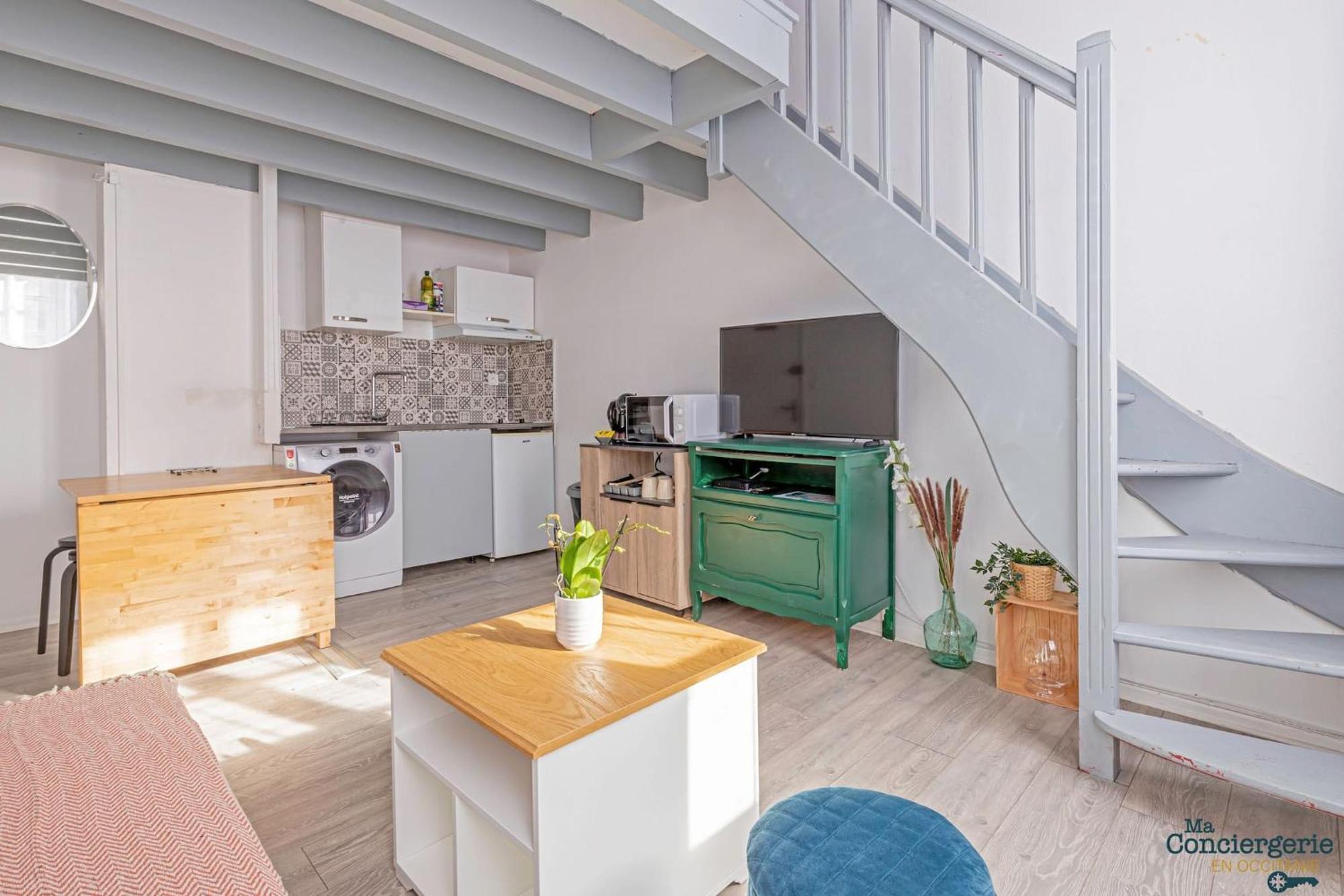 شقة تولوز  في Duplex Champetre : Gare, Marche, Hypercentre المظهر الخارجي الصورة