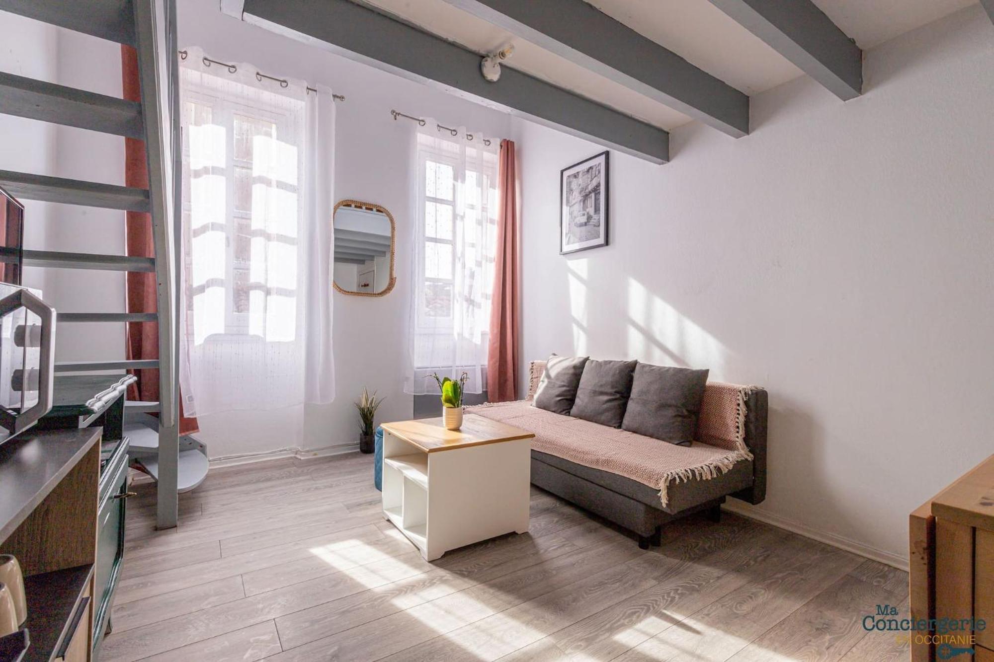شقة تولوز  في Duplex Champetre : Gare, Marche, Hypercentre المظهر الخارجي الصورة