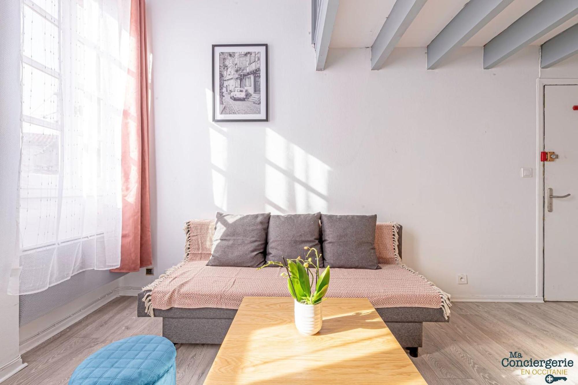 شقة تولوز  في Duplex Champetre : Gare, Marche, Hypercentre المظهر الخارجي الصورة